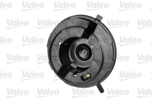 Vidaus putiklis VALEO 698809