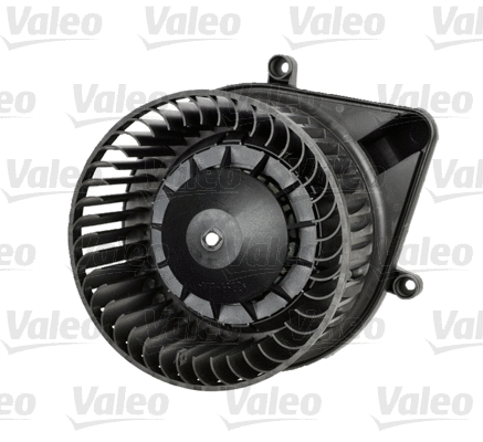 Vidaus putiklis VALEO 698813