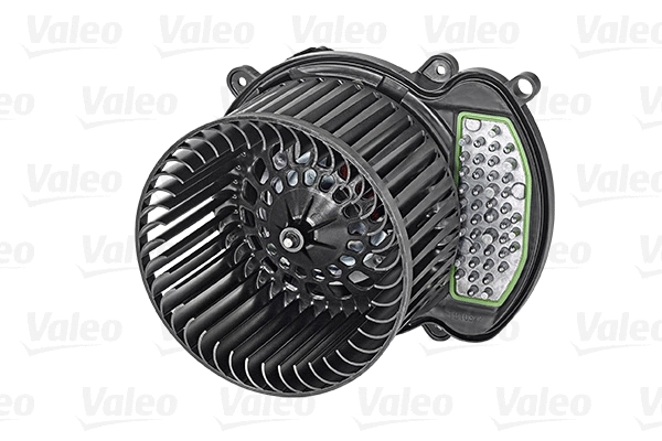 Vidaus putiklis VALEO 715005