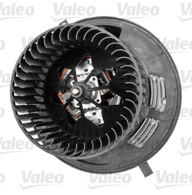 Vidaus putiklis VALEO 715049