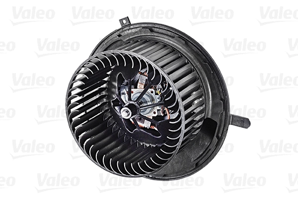Vidaus putiklis VALEO 715052