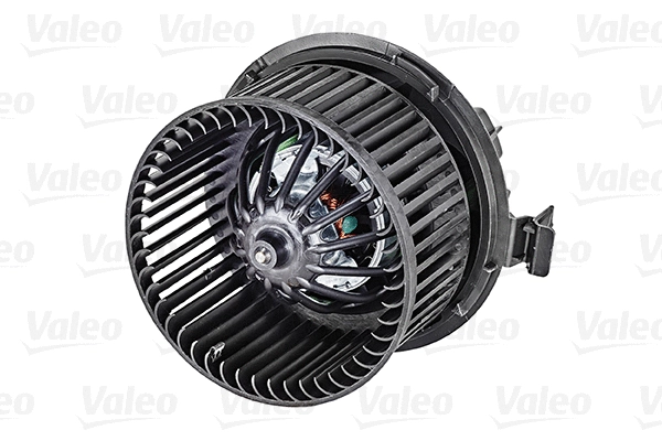 Vidaus putiklis VALEO 715058