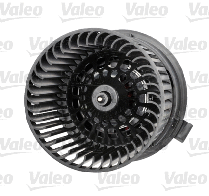 Vidaus putiklis VALEO 715223