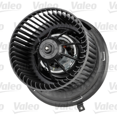 Vidaus putiklis VALEO 715243