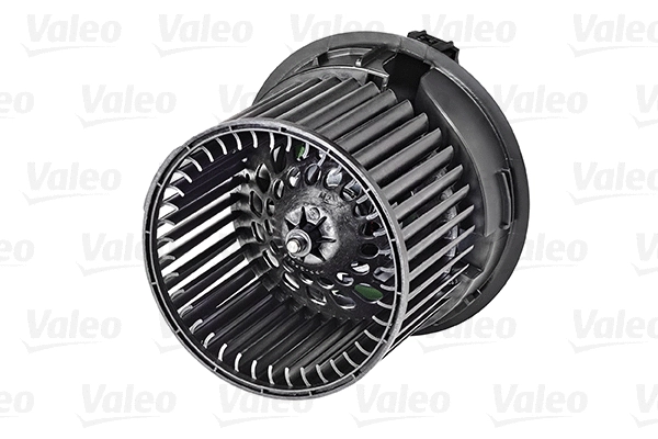 Vidaus putiklis VALEO 715251