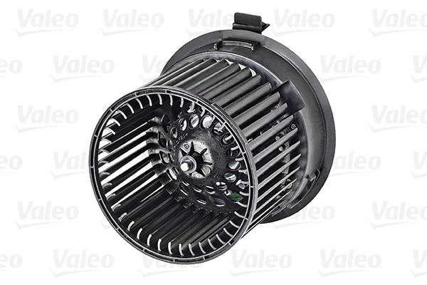 Vidaus putiklis VALEO 715252