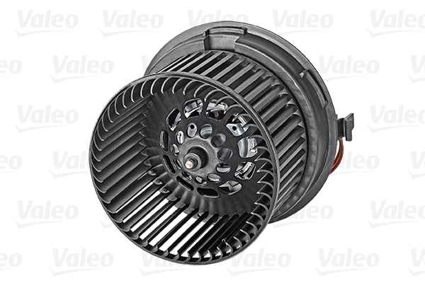 Vidaus putiklis VALEO 715256