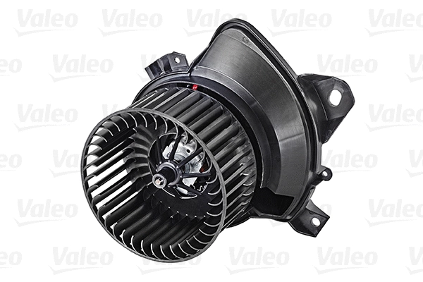Vidaus putiklis VALEO 715268