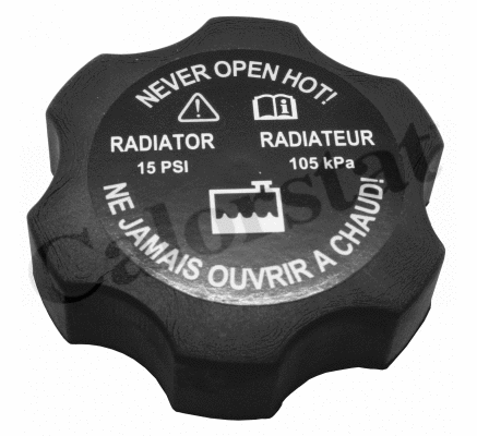 Radiatoriaus dangtelis CALORSTAT by Vernet RC0147