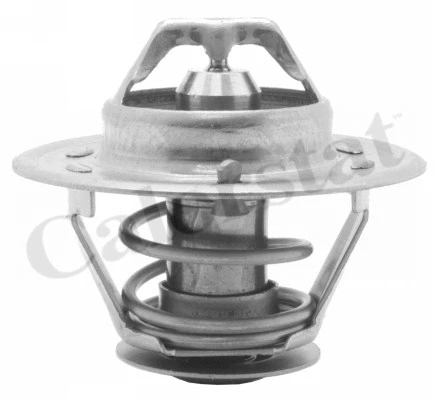 Termostatas CALORSTAT by Vernet TH3309.79J