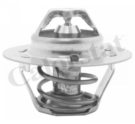 Termostatas CALORSTAT by Vernet TH4168.89J