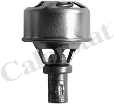 Termostatas CALORSTAT by Vernet TH4495.89
