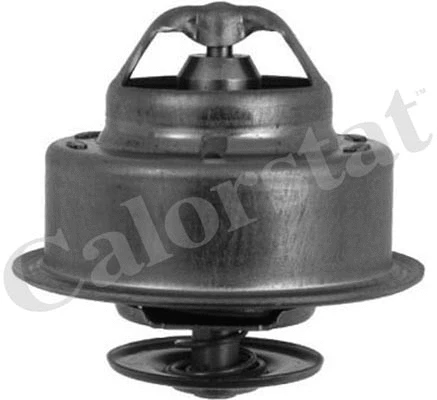 Termostatas CALORSTAT by Vernet TH4856.88J
