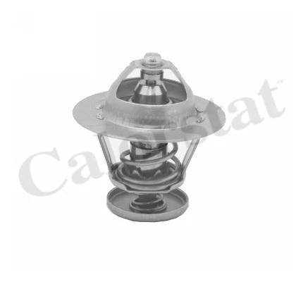 Termostatas CALORSTAT by Vernet TH5077.92J