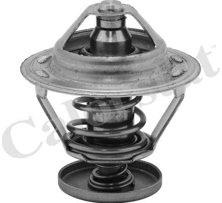 Termostatas CALORSTAT by Vernet TH5079.82J