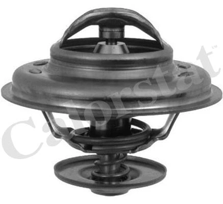Termostatas CALORSTAT by Vernet TH5111.88J