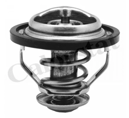 Termostatas CALORSTAT by Vernet TH5130.89J