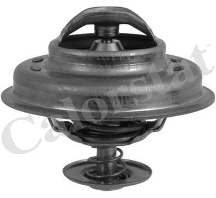 Termostatas CALORSTAT by Vernet TH5231.83J