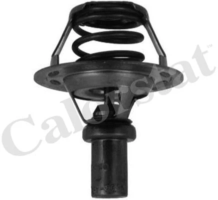 Termostatas CALORSTAT by Vernet TH5284.91J