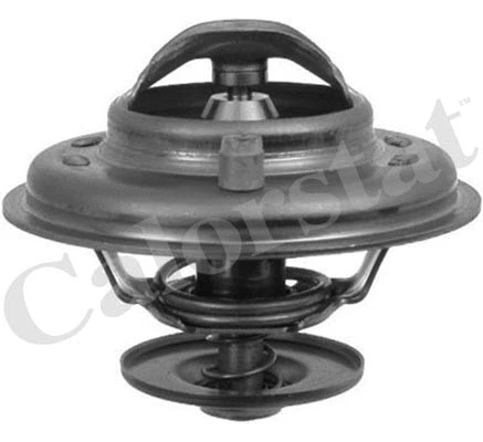 Termostatas CALORSTAT by Vernet TH5902.87J