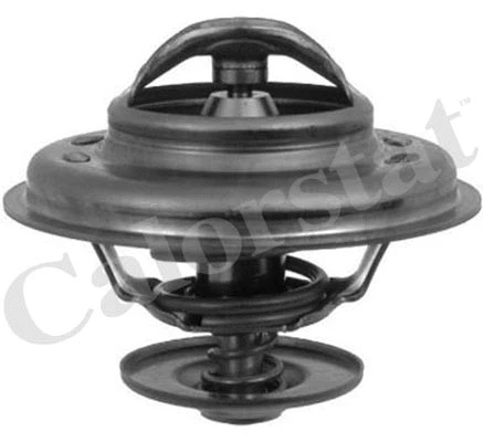 Termostatas CALORSTAT by Vernet TH5963.80J