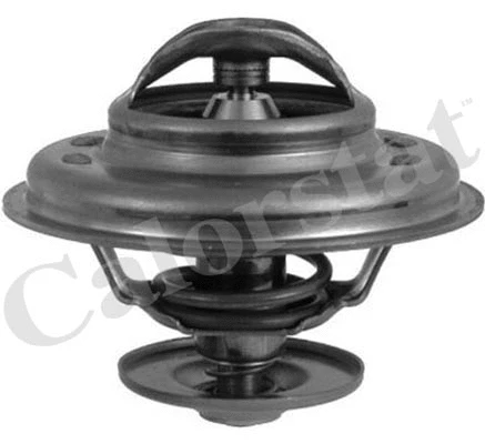 Termostatas CALORSTAT by Vernet TH5968.87J