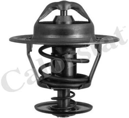 Termostatas CALORSTAT by Vernet TH6007.88J