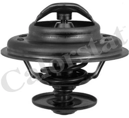 Termostatas CALORSTAT by Vernet TH6243.92J