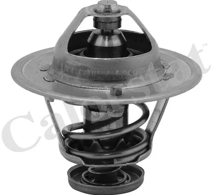 Termostatas CALORSTAT by Vernet TH6252.85J