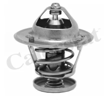 Termostatas CALORSTAT by Vernet TH6267.88J