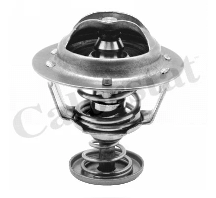 Termostatas CALORSTAT by Vernet TH6295.76J