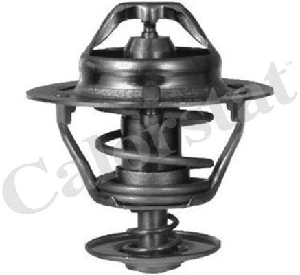 Termostatas CALORSTAT by Vernet TH6312.88J