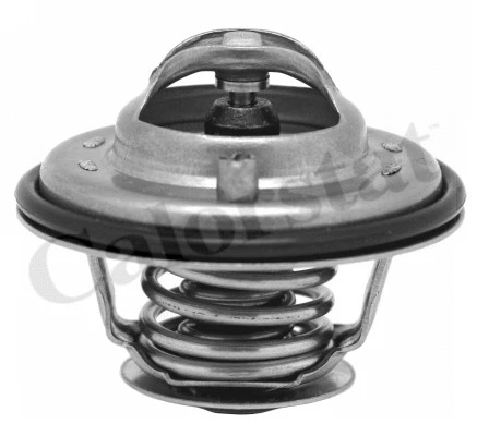 Termostatas CALORSTAT by Vernet TH6533.92J