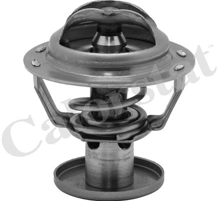 Termostatas CALORSTAT by Vernet TH6578.87J