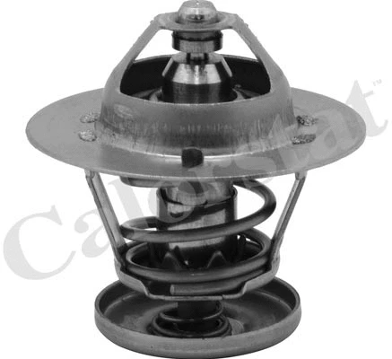 Termostatas CALORSTAT by Vernet TH6580.88J
