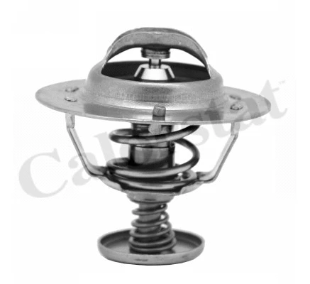 Termostatas CALORSTAT by Vernet TH6583.82J