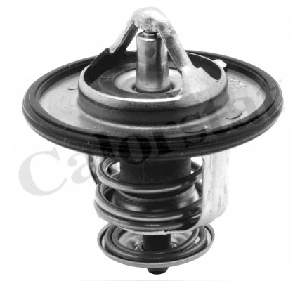 Termostatas CALORSTAT by Vernet TH6587.87J