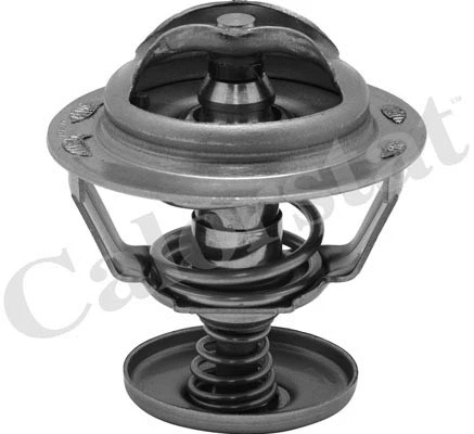 Termostatas CALORSTAT by Vernet TH6838.82J