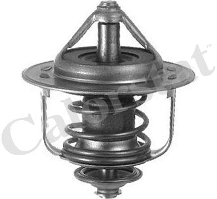 Termostatas CALORSTAT by Vernet TH6858.89J