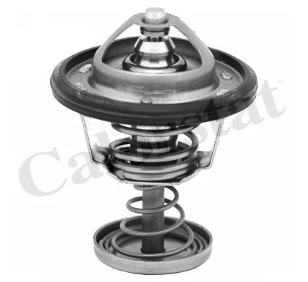 Termostatas CALORSTAT by Vernet TH6950.82J