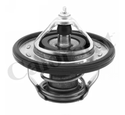 Termostatas CALORSTAT by Vernet TH7239.90J