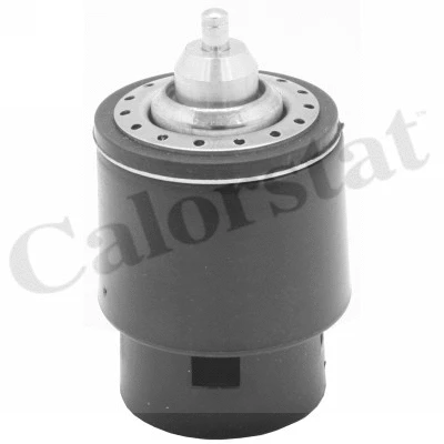 Termostatas CALORSTAT by Vernet TH7266.95