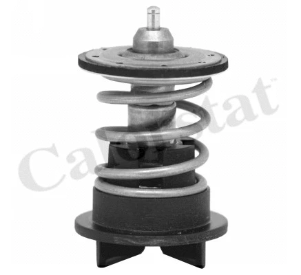 Termostatas CALORSTAT by Vernet TH7272.89