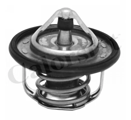 Termostatas CALORSTAT by Vernet TH7300.95J
