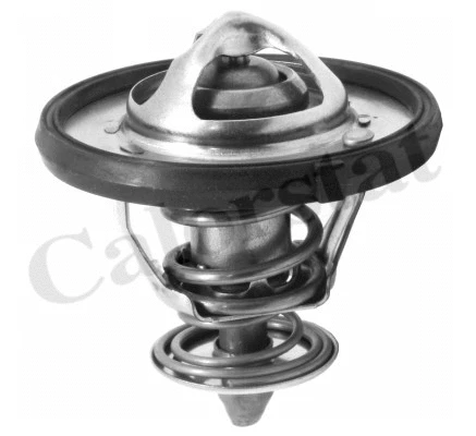 Termostatas CALORSTAT by Vernet TH7310.77J