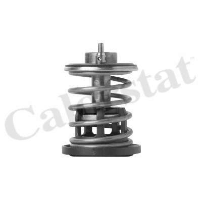 Termostatas CALORSTAT by Vernet TH7382.88