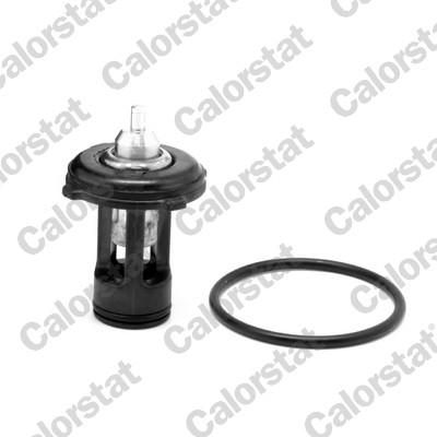 Termostatas CALORSTAT by Vernet THK7271.87J
