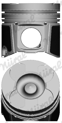 Stūmoklis NÜRAL 87-137507-10