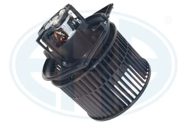 Vidaus putiklis ERA 664169