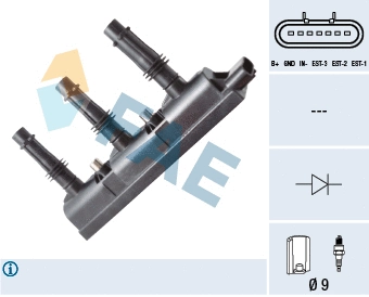 Uždegimo ritė FAE 80258